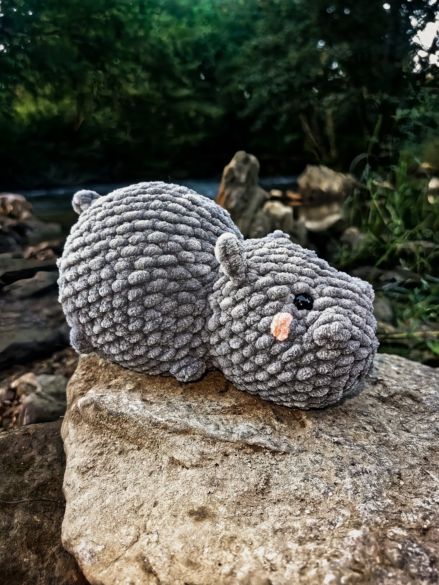 Grisouille l'hippopotame 🦛